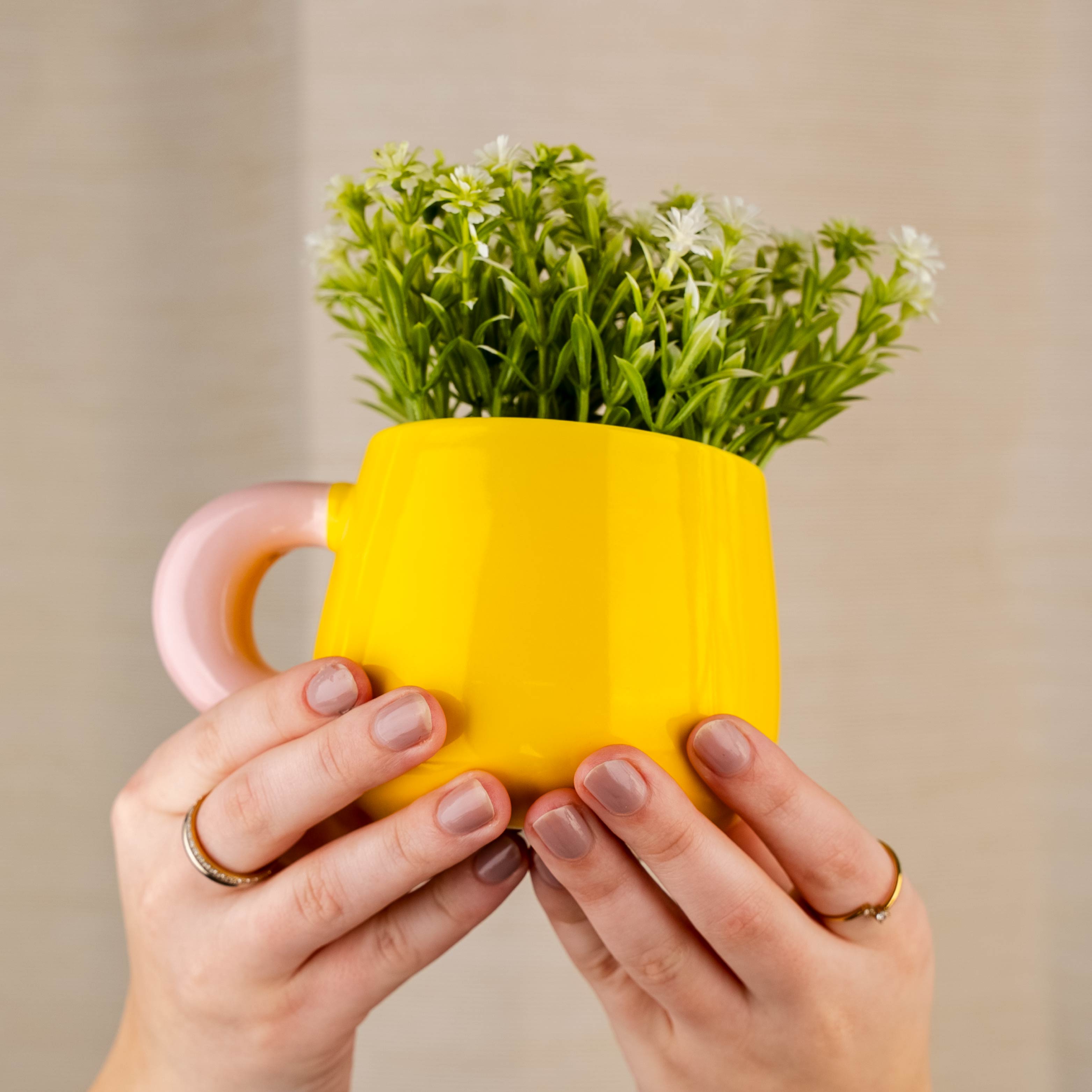 Magnet-Henkel-Pott CANDYLEMON ohne Pad