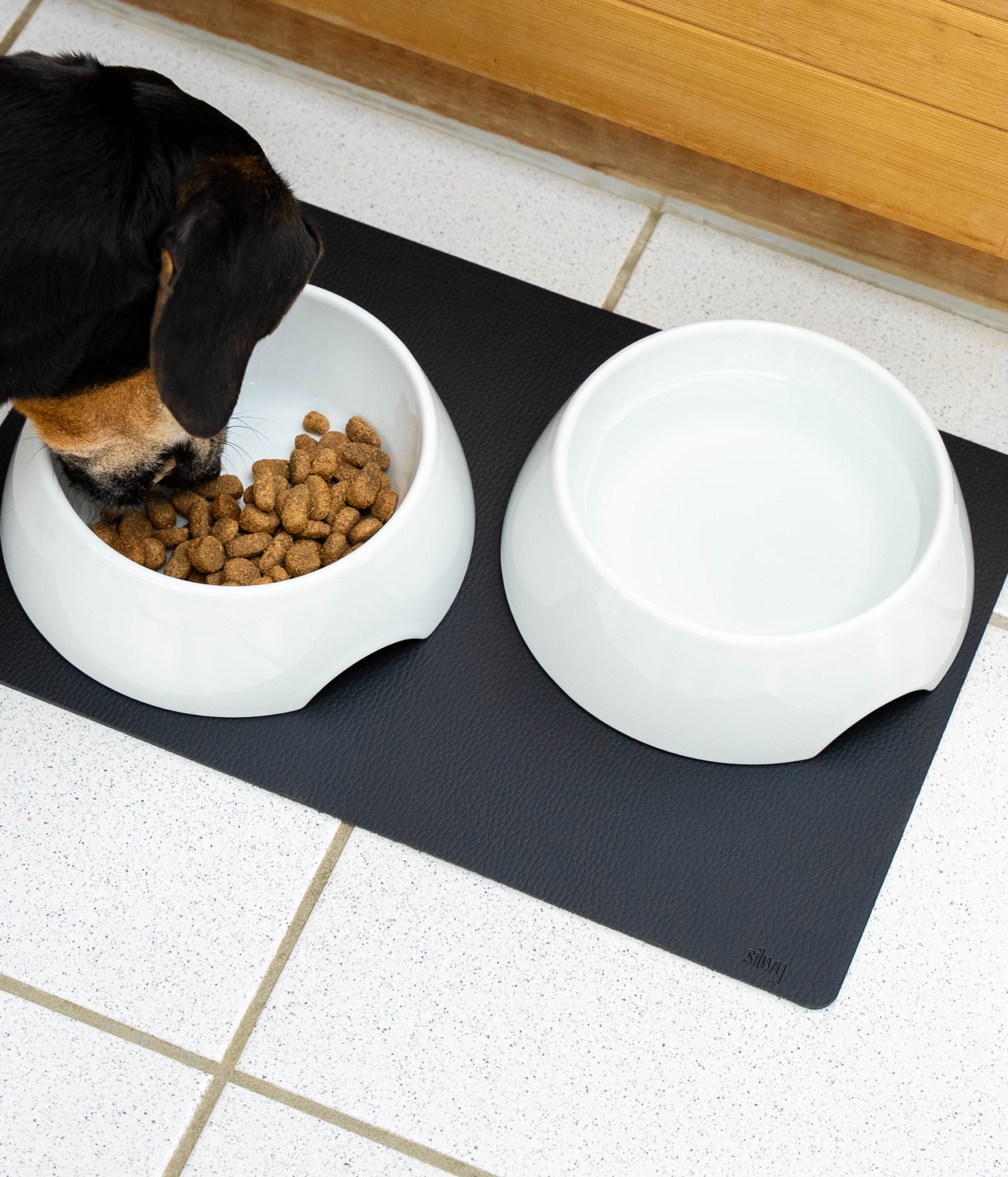 Hund isst aus Porzellan-Futternäpfen mit Magnet,  die durch Matte fixiert werden