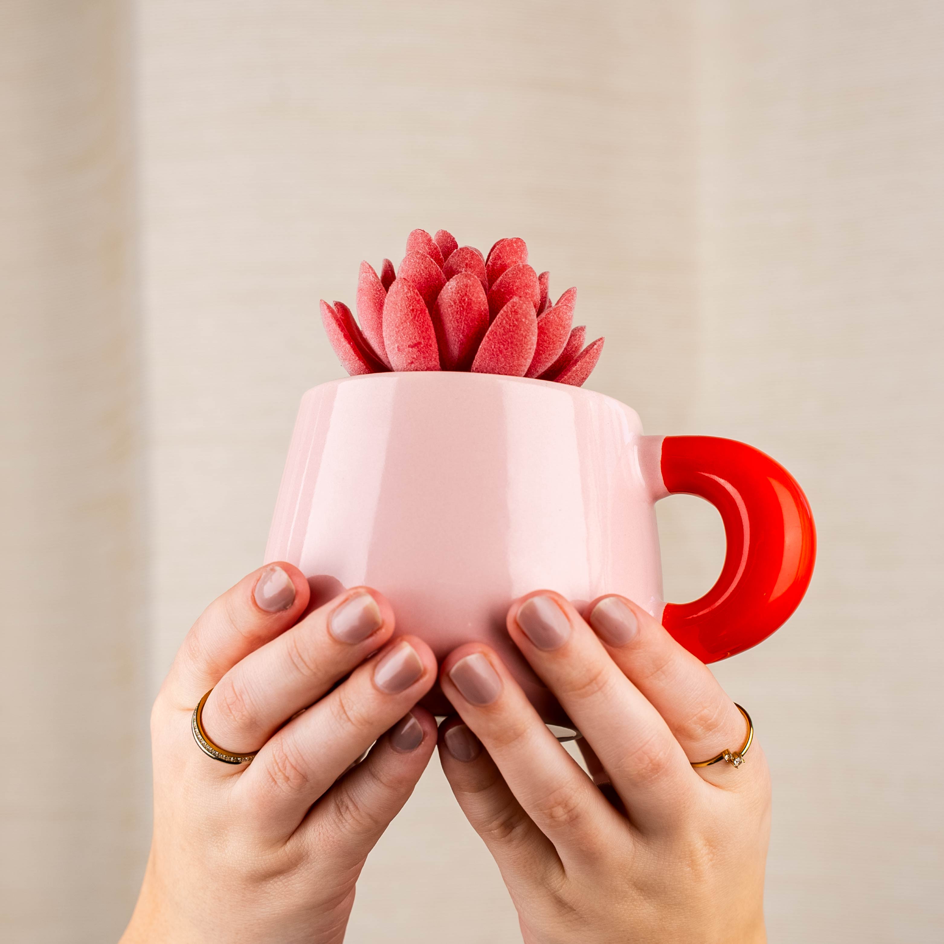 Magnet-Henkel-Potts SUMMERSORBET