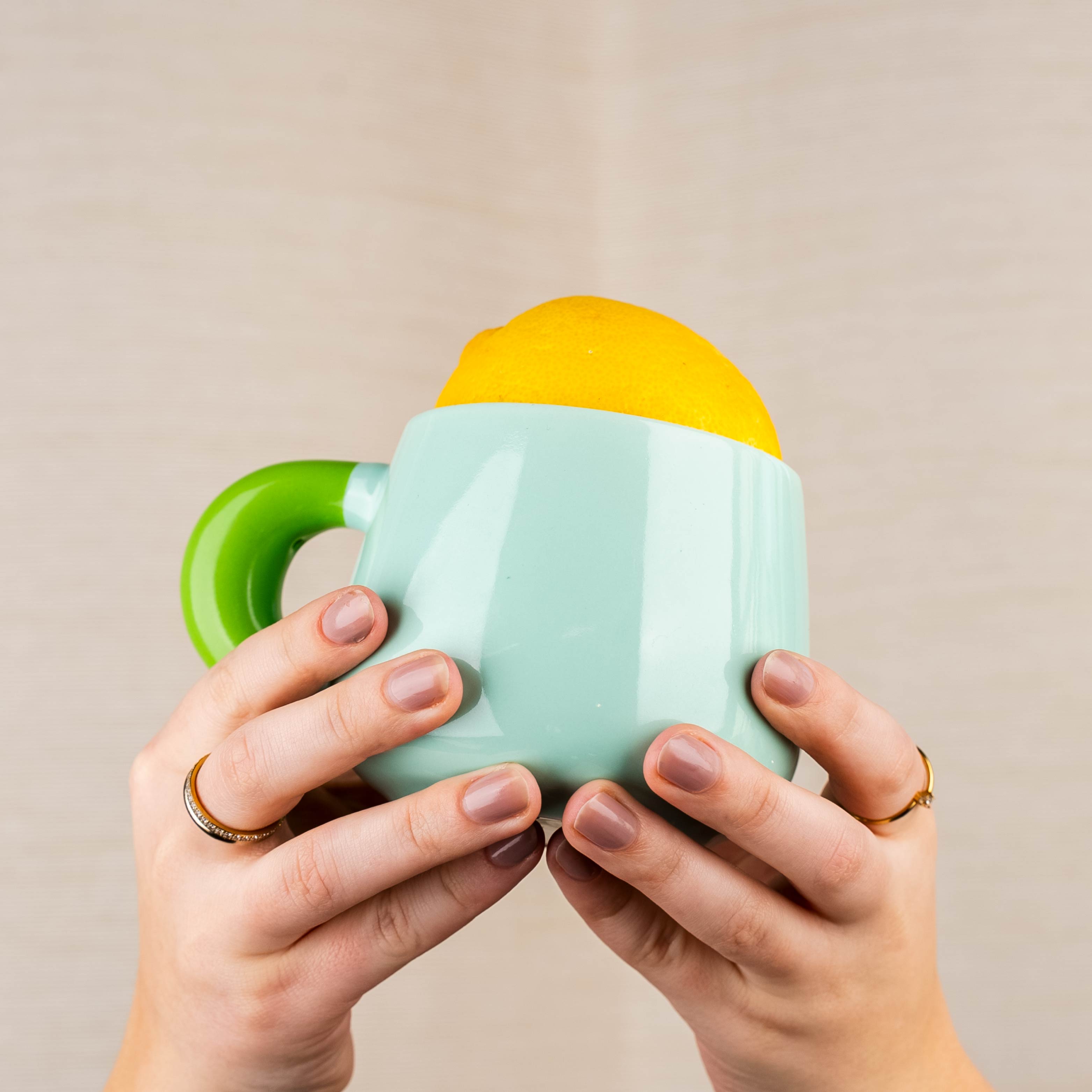 Magnet-Henkel-Pott TROPICALMINT ohne Pad