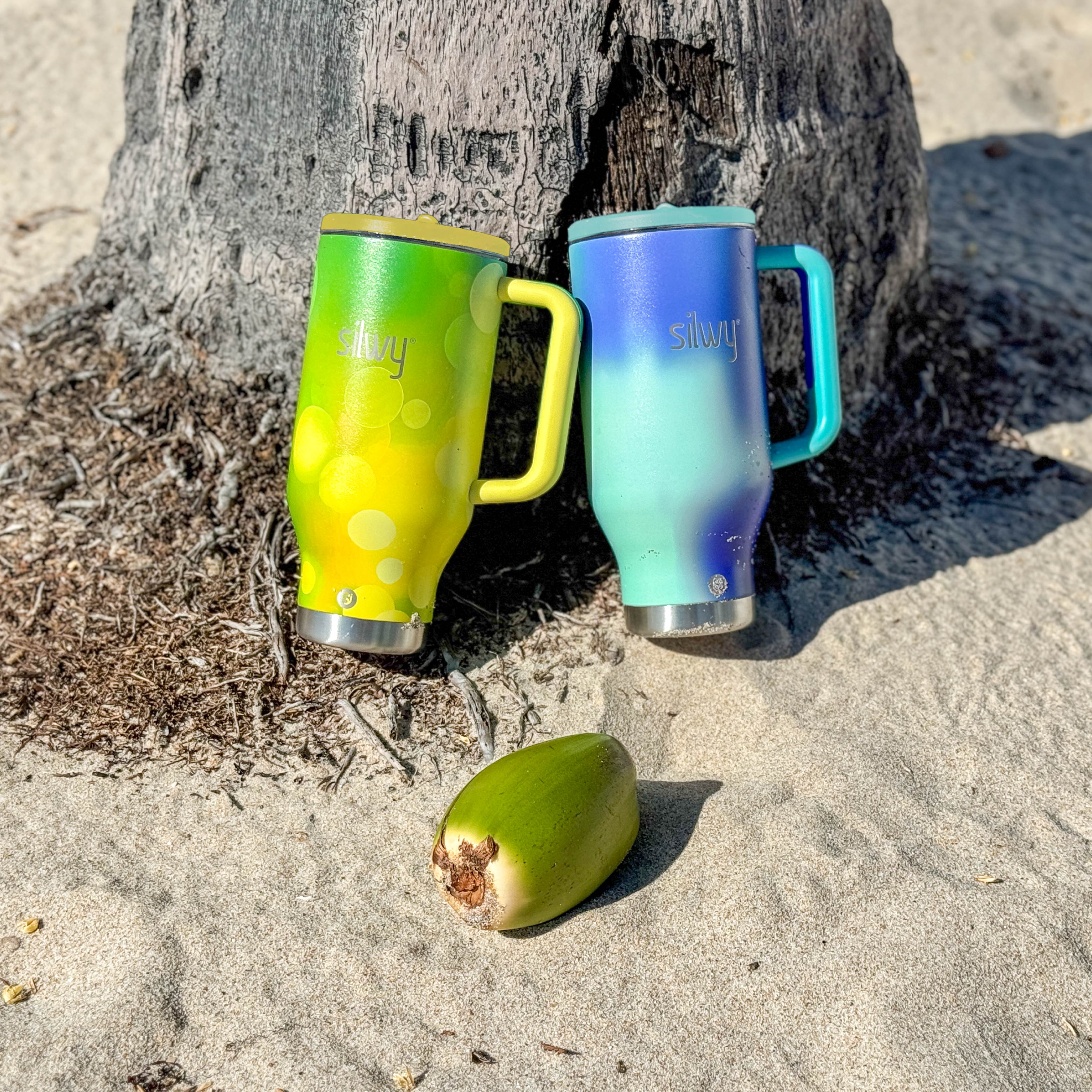 Thermos magnetico termico OCEAN