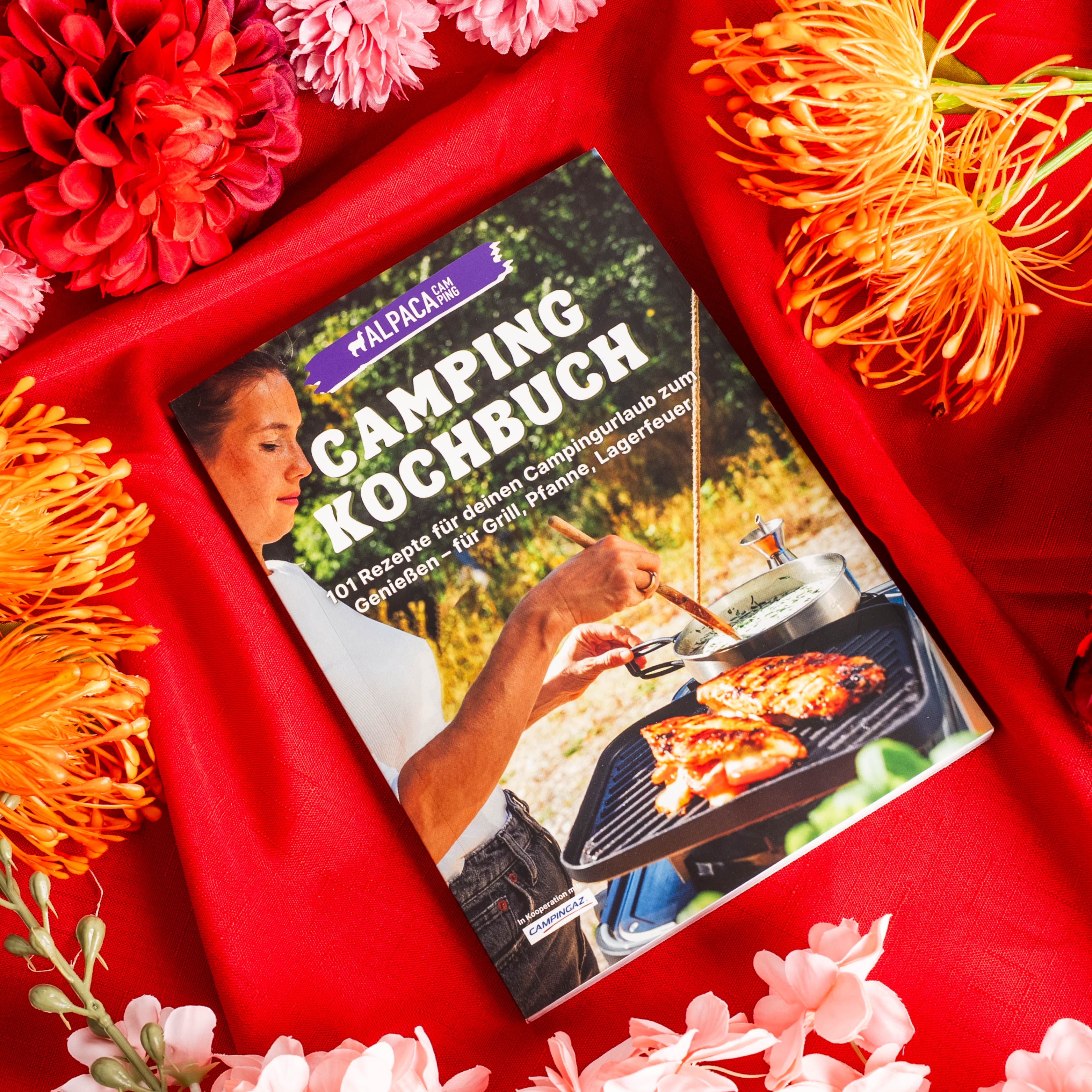 Magnet-Kristallgläser WEIN inkl. Camping Kochbuch